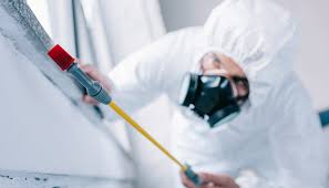 Best Pest Control for Multi-Family Homes  in Casa Grande, AZ